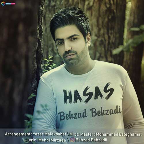 بهزاد بهزادی حساس